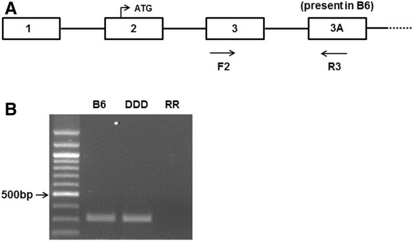 Figure 13