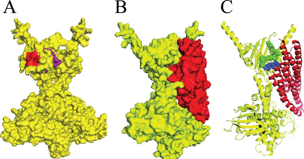 Figure 7