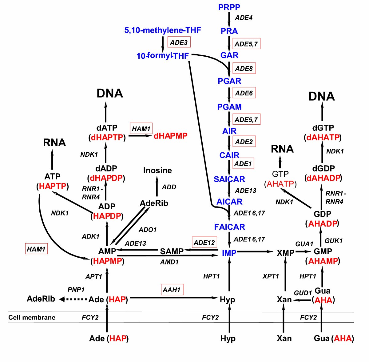 Figure 4