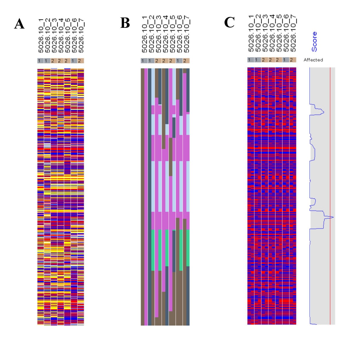 Figure 14