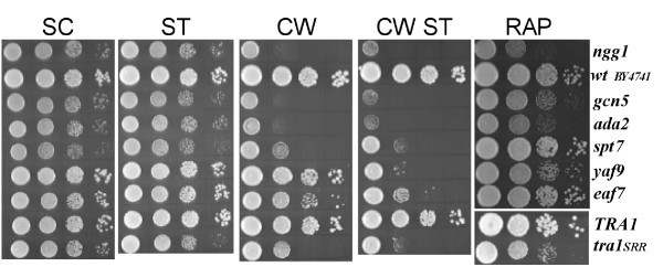 Figure 5