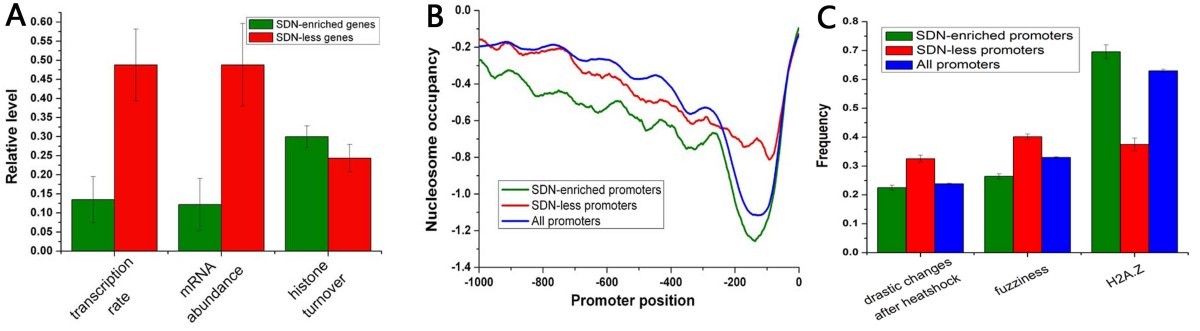 Figure 5