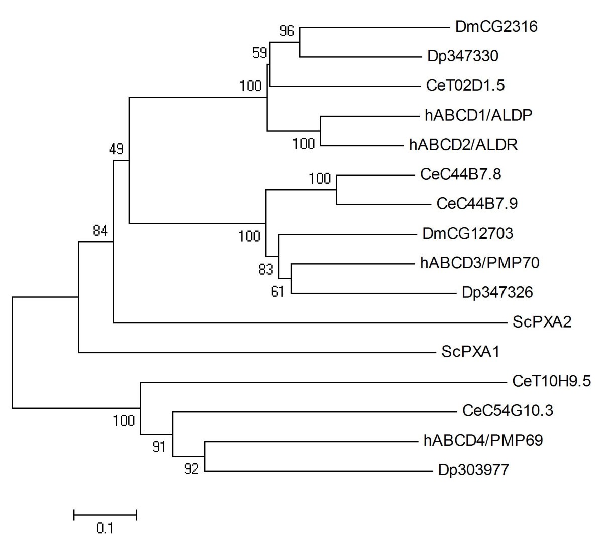 Figure 5