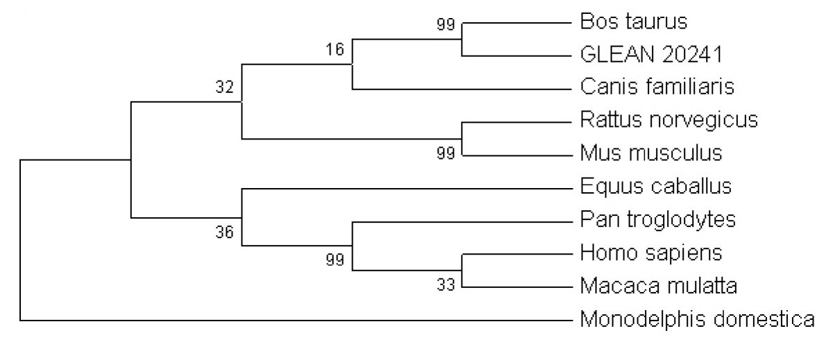 Figure 7