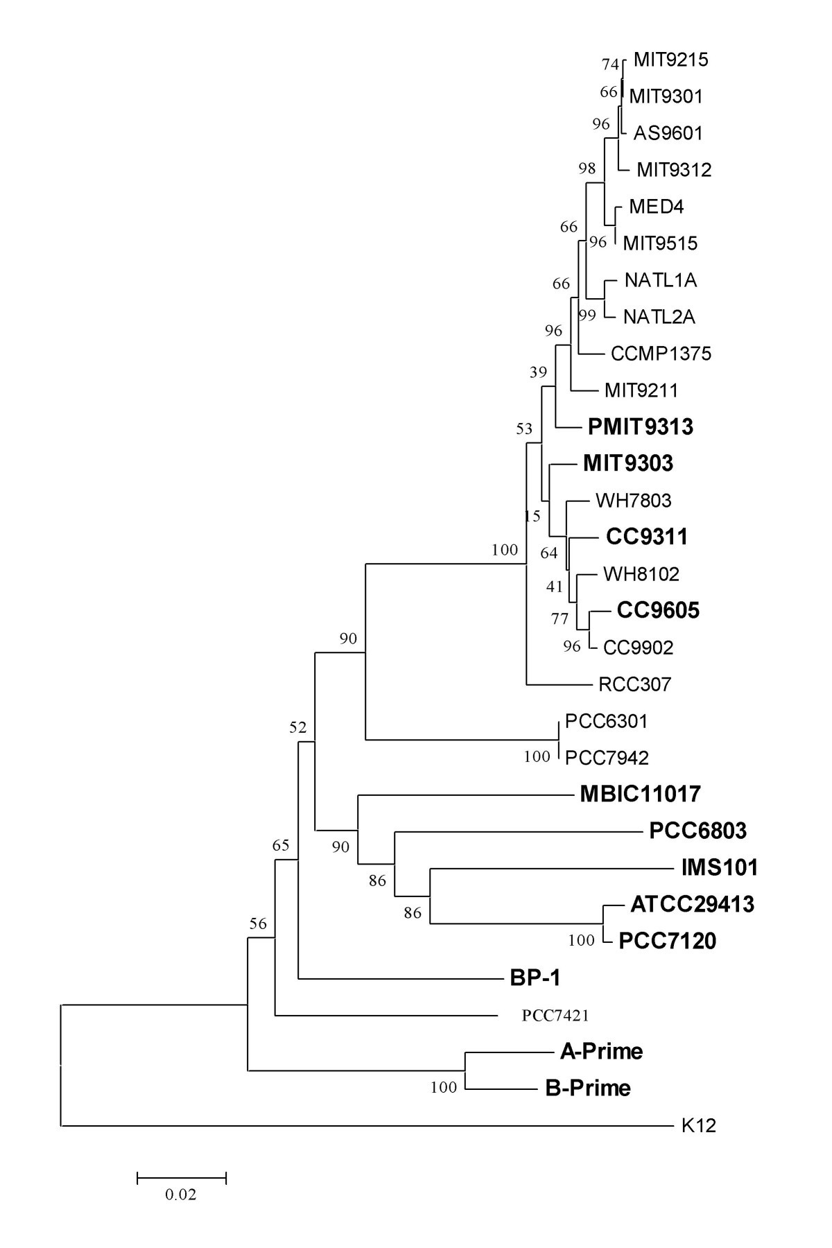 Figure 4