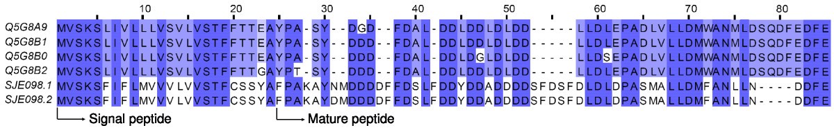 Figure 10