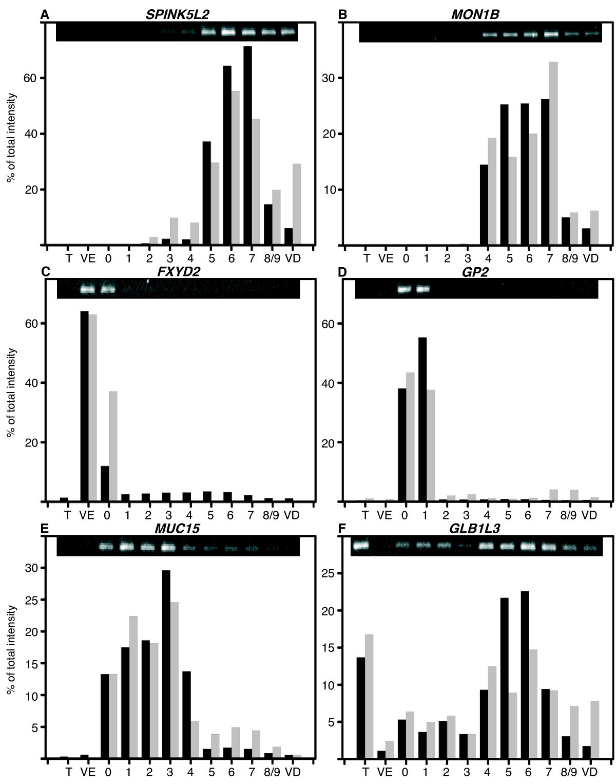 Figure 10