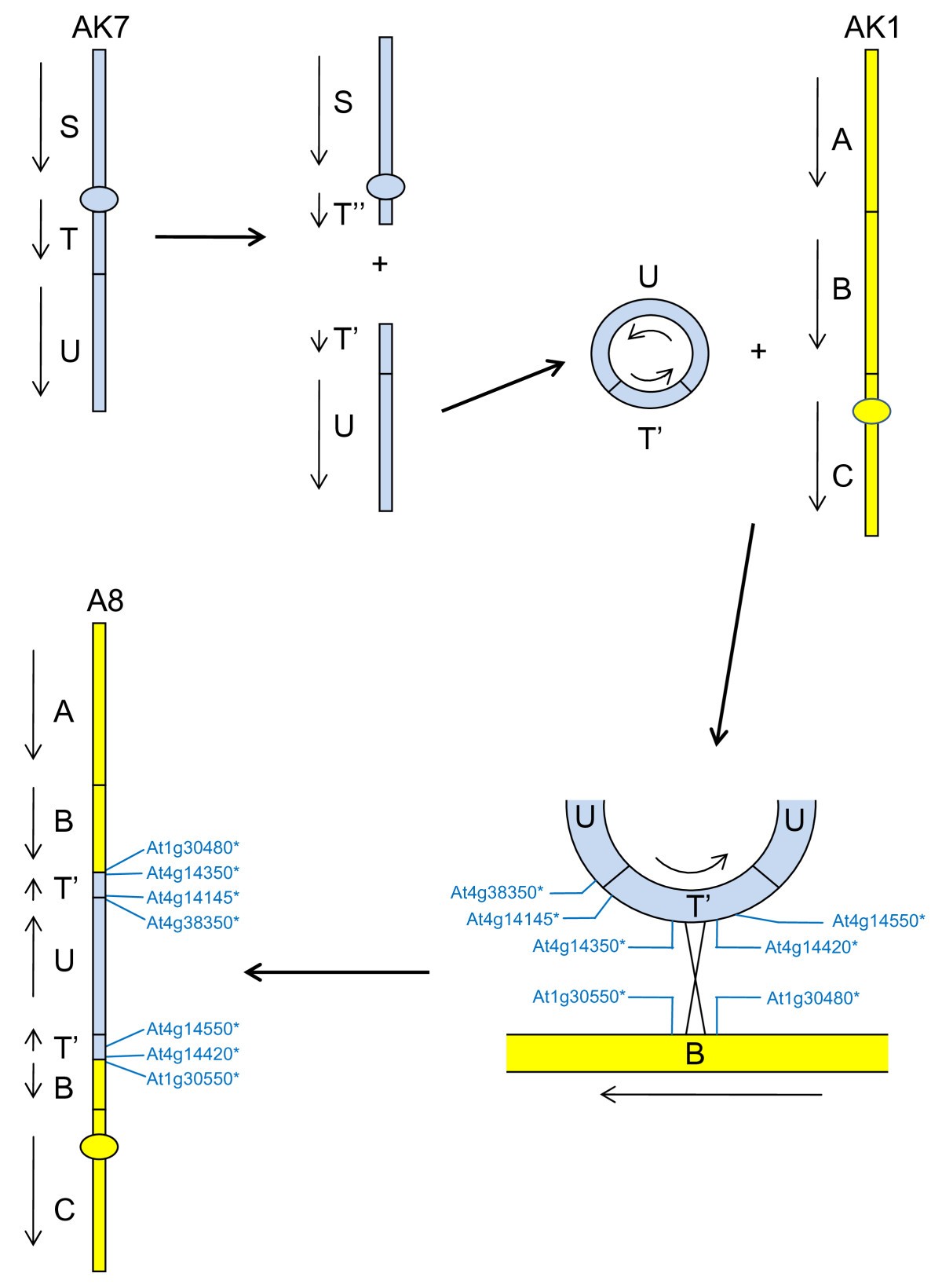 Figure 9