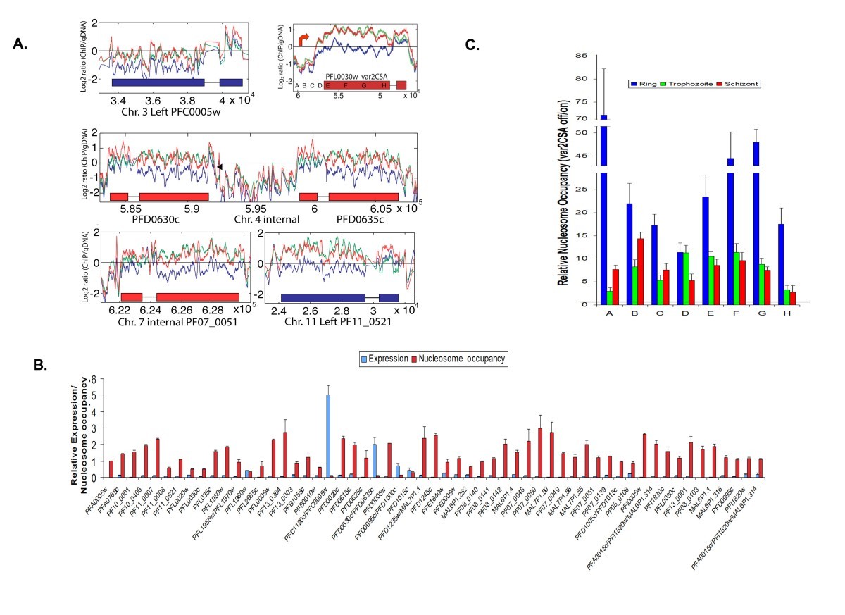 Figure 6