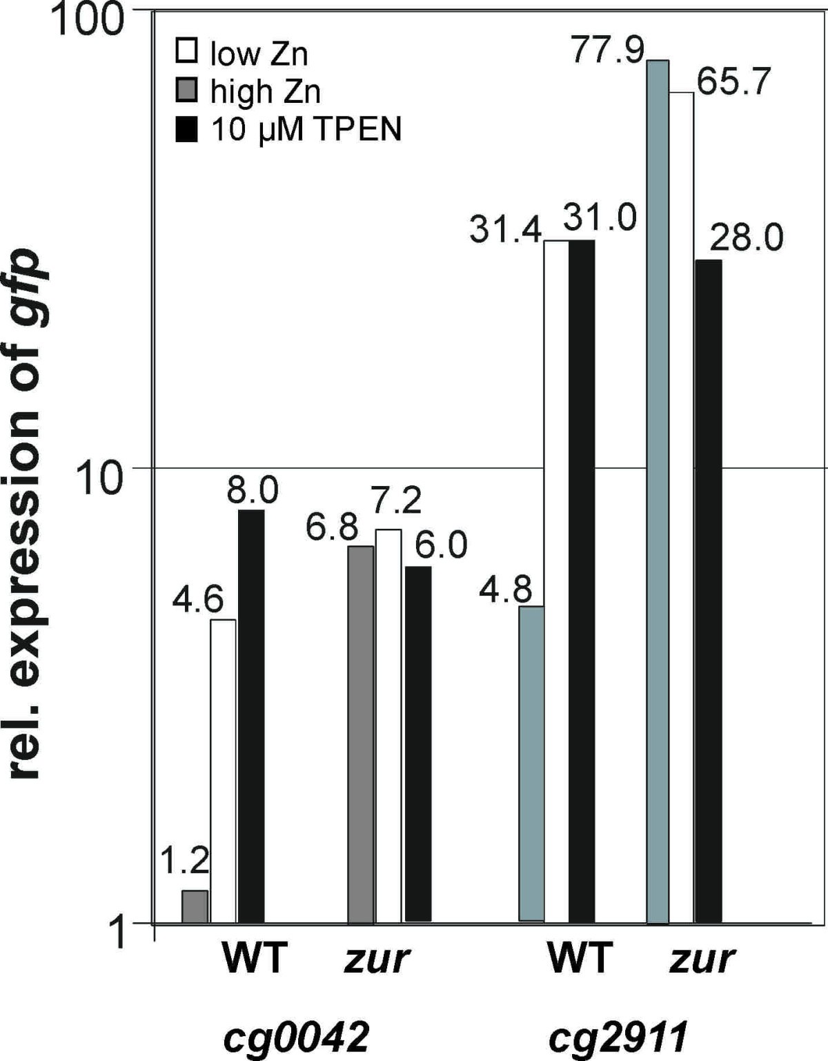 Figure 7