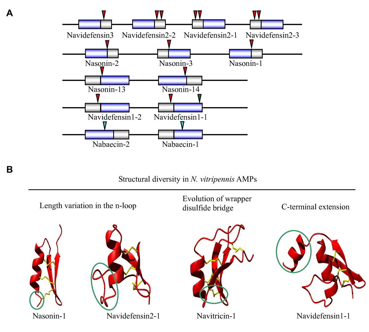 Figure 10