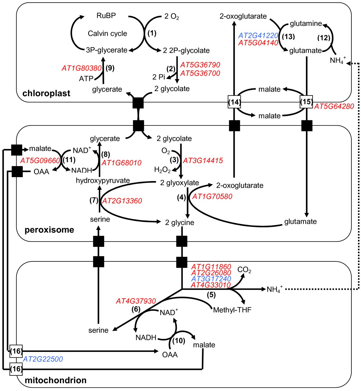 Figure 11