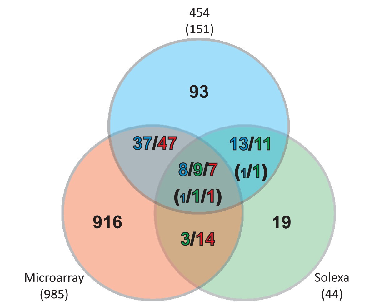 Figure 14