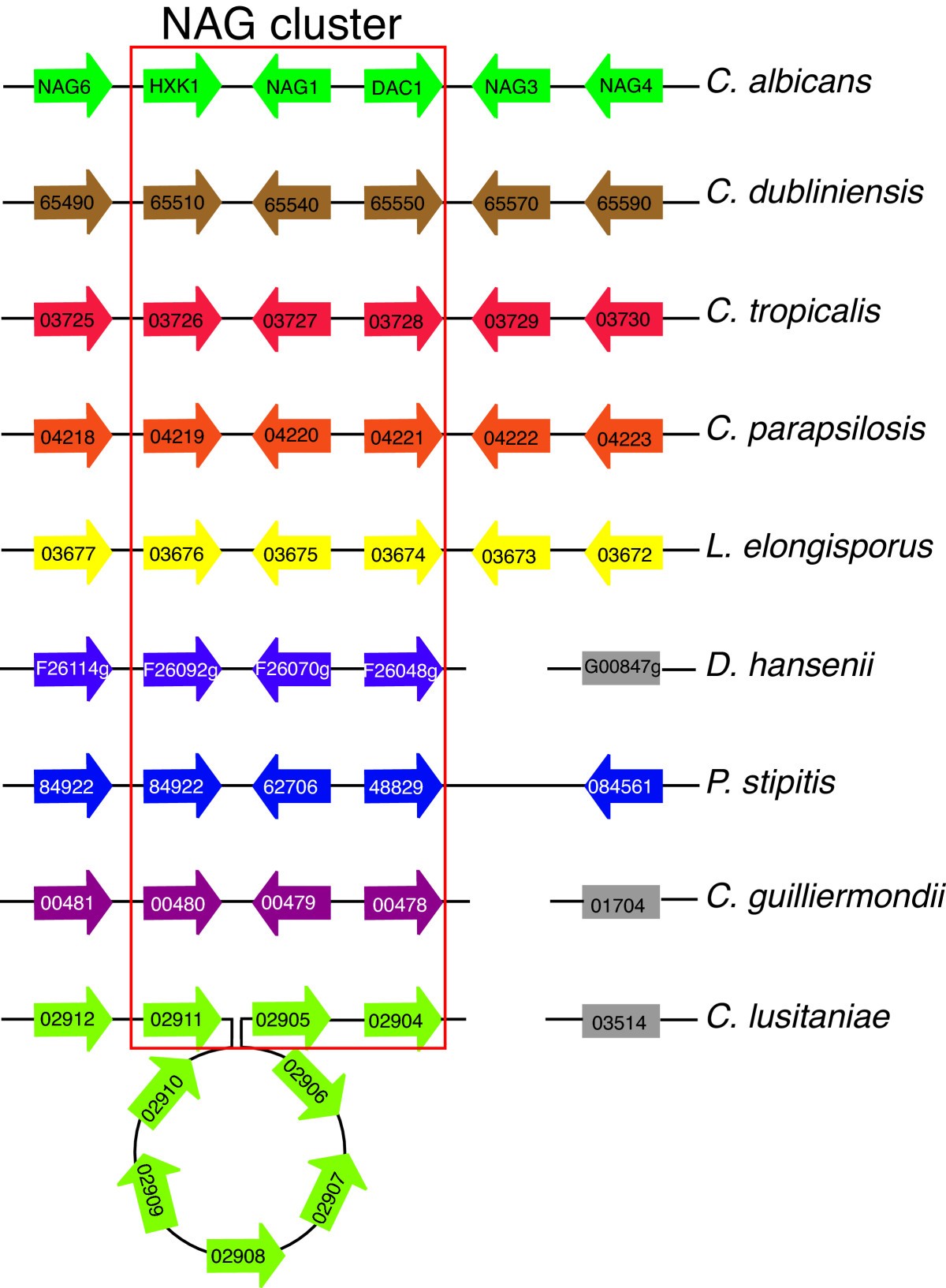 Figure 5