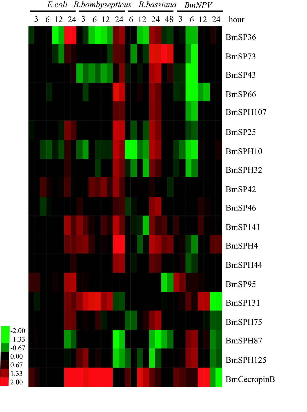 Figure 6