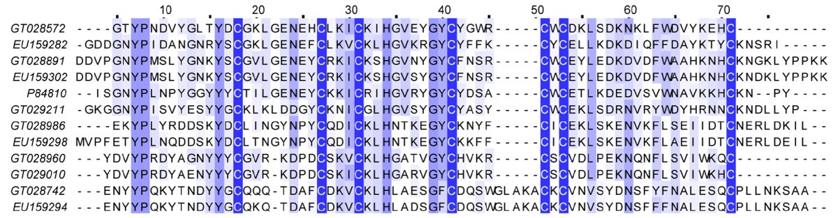 Figure 13