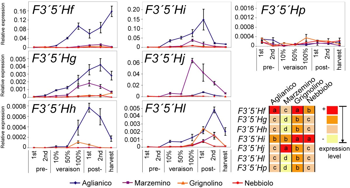 Figure 9