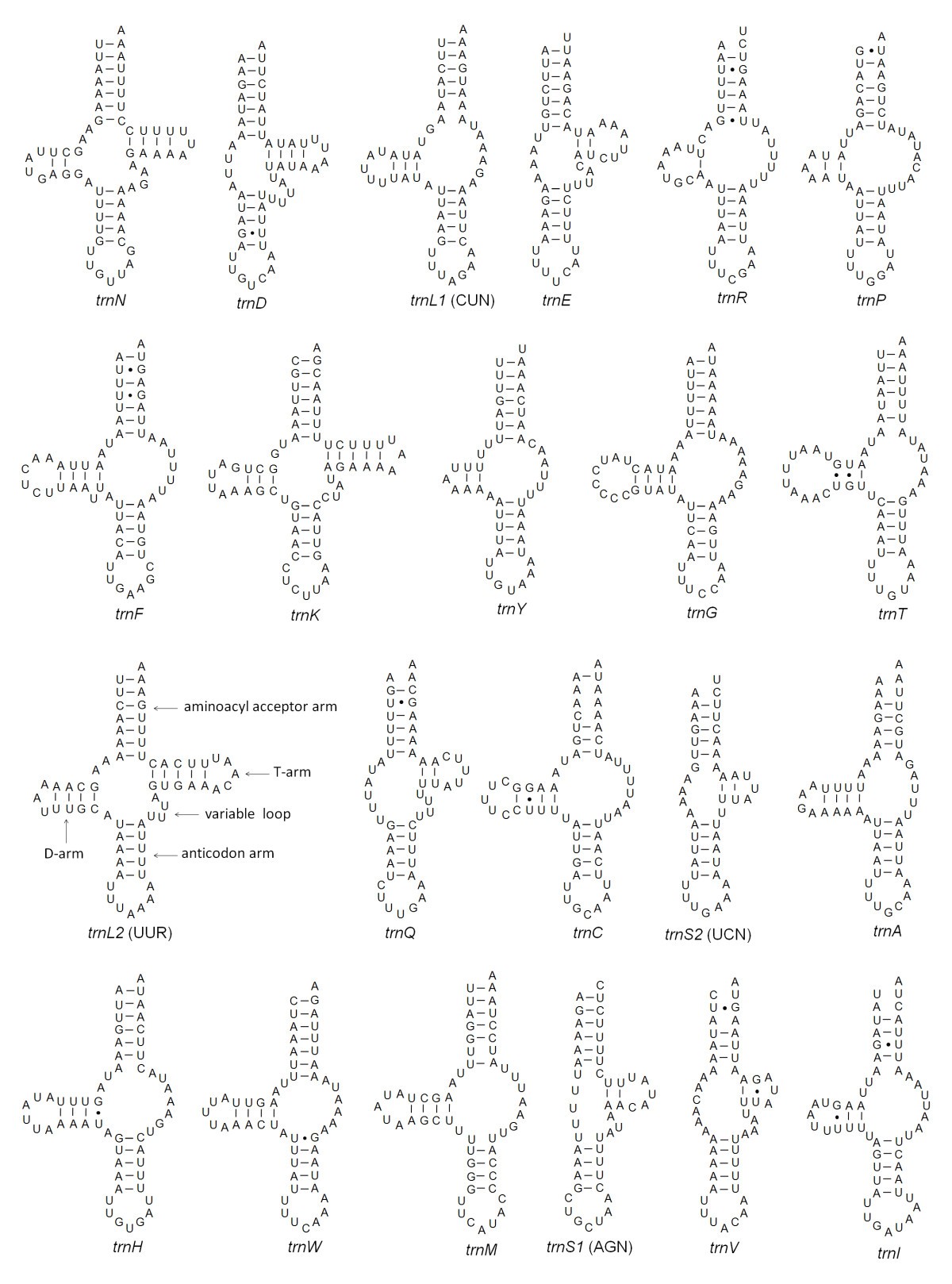 Figure 9