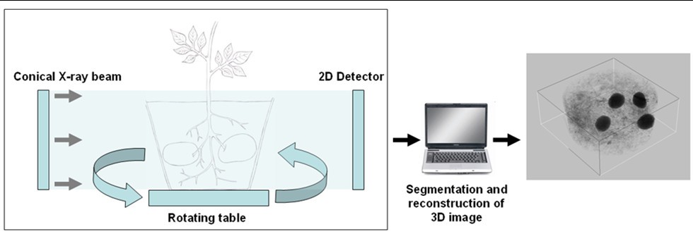 Figure 9