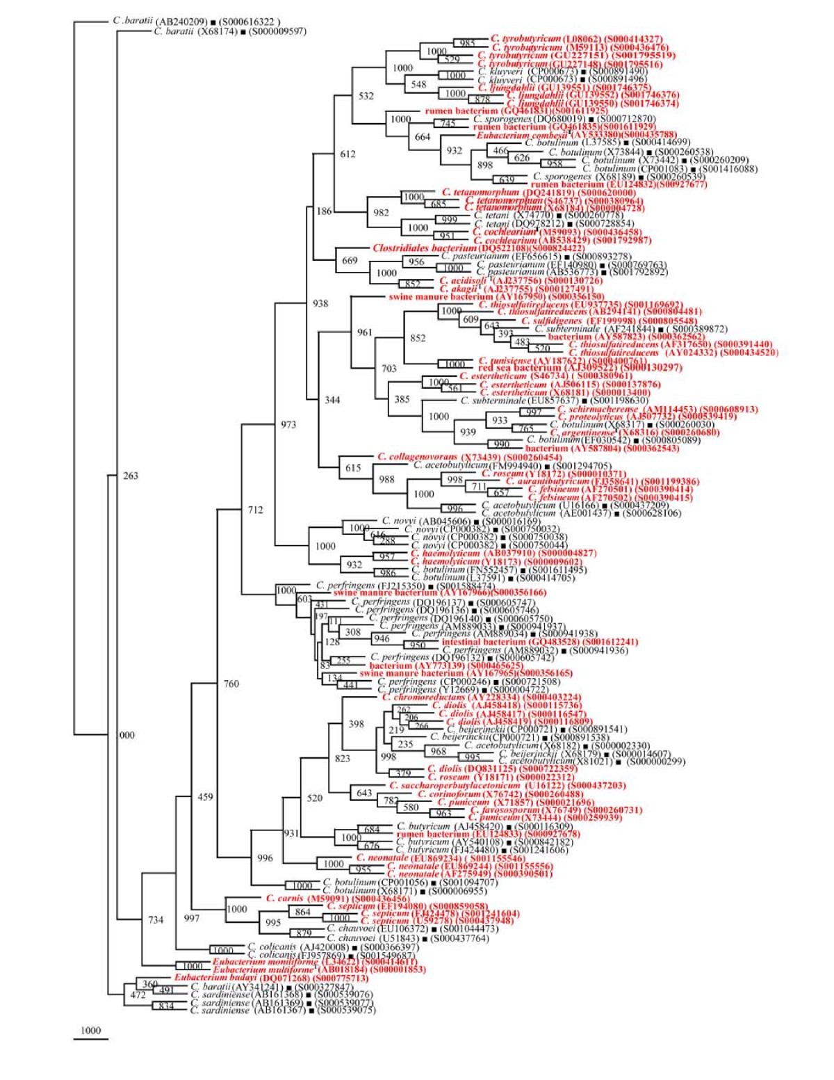 Figure 12