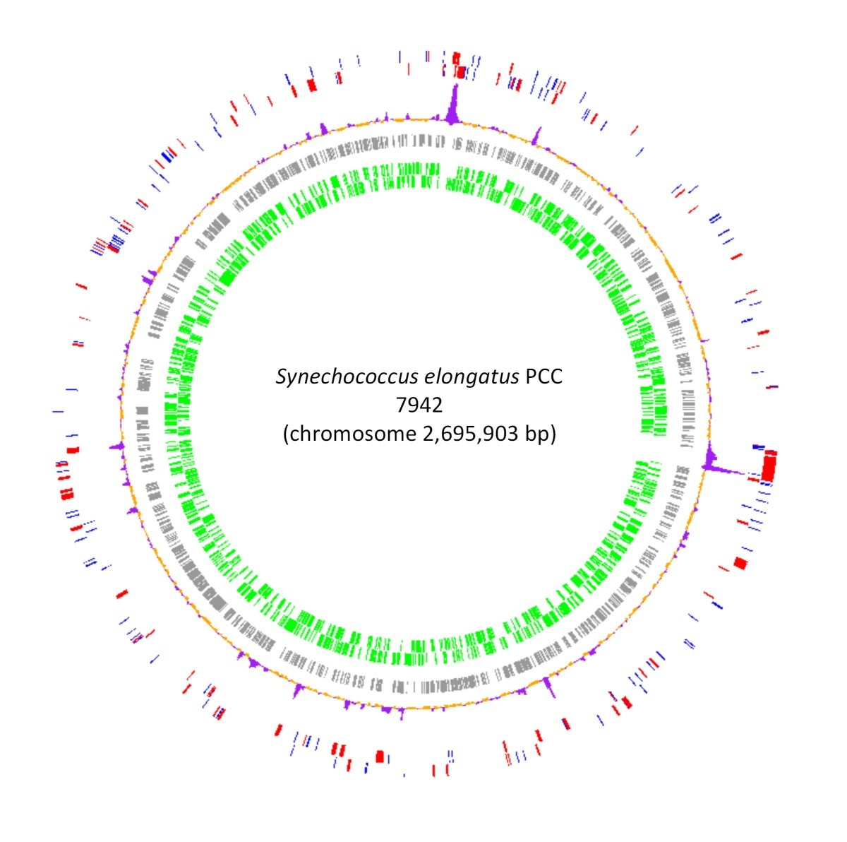 Figure 13