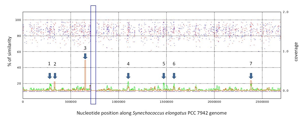 Figure 9