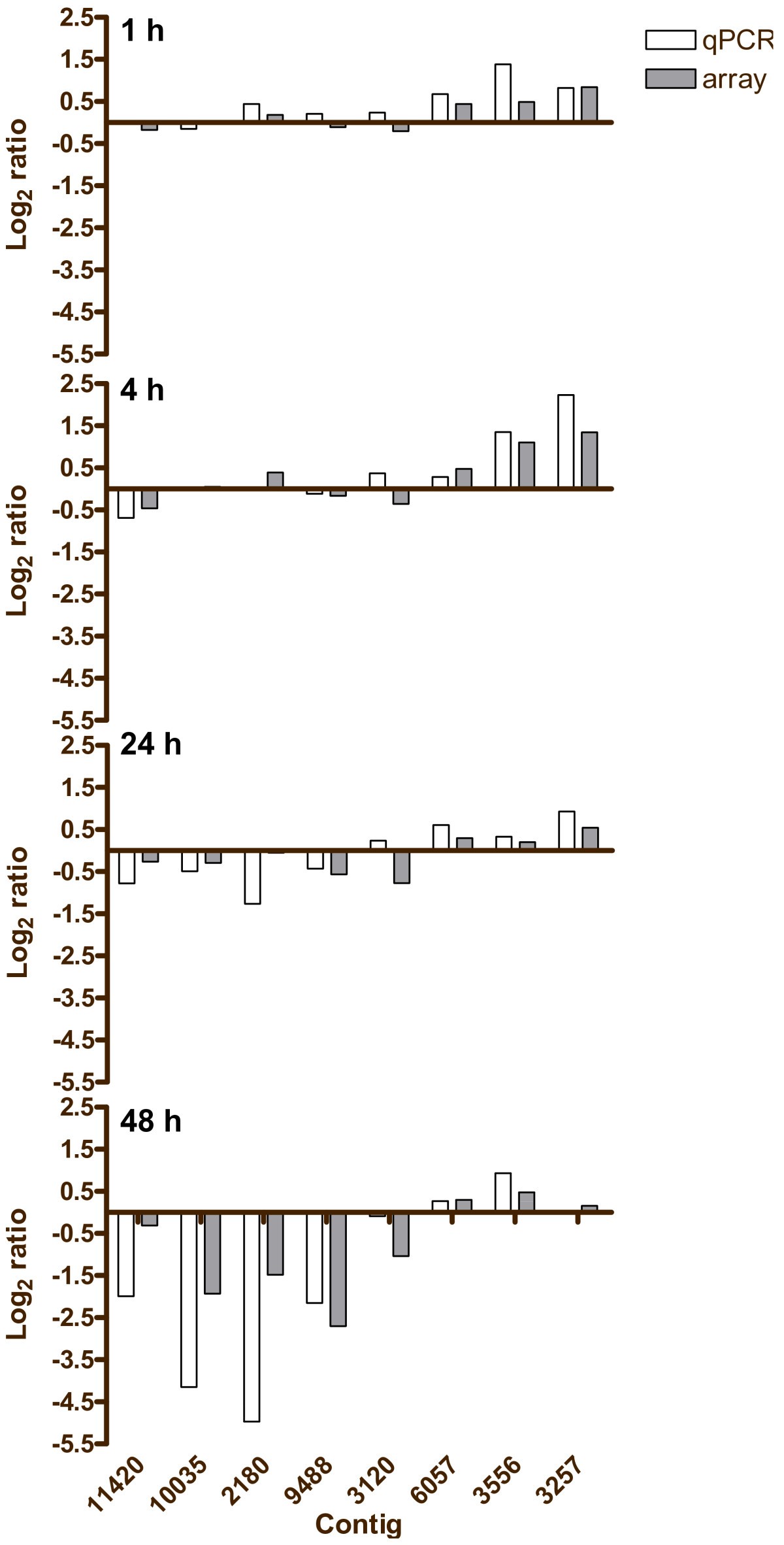 Figure 7