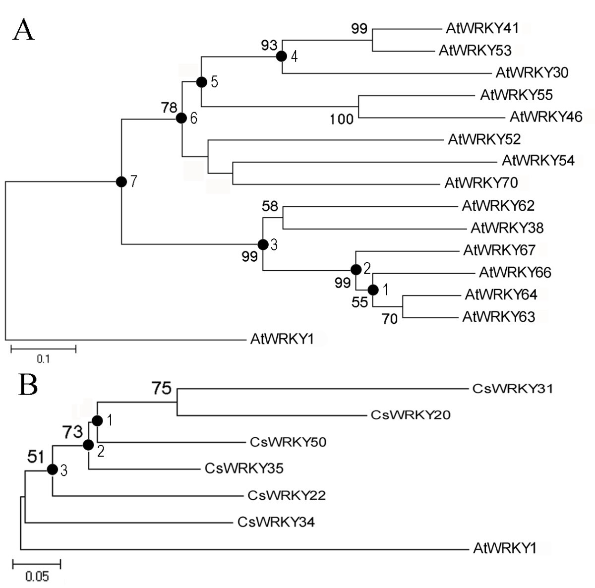 Figure 9