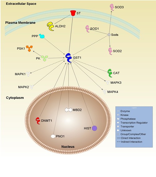 Figure 7