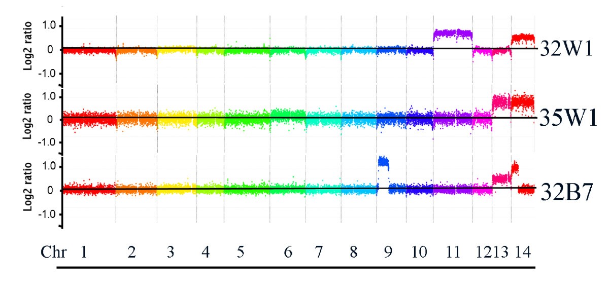 Figure 7