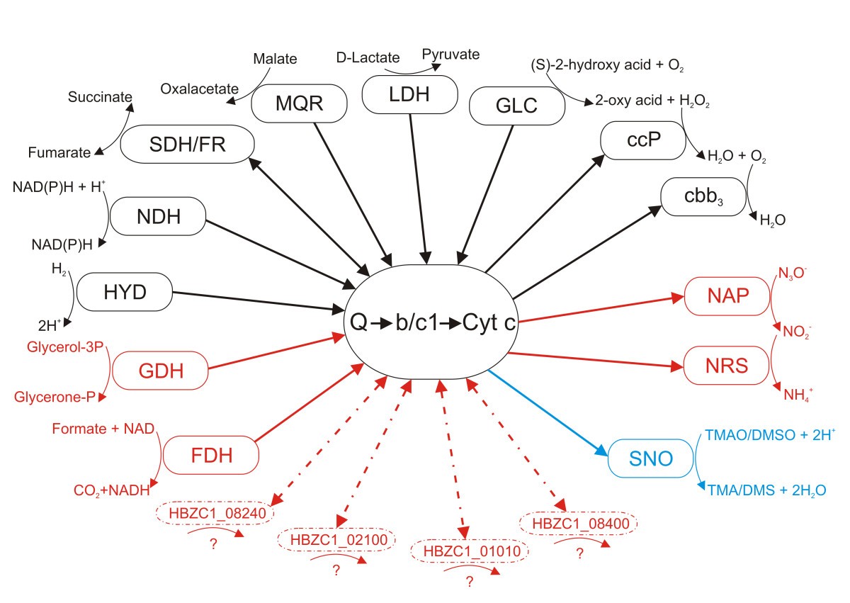 Figure 3. Schematic representation ...