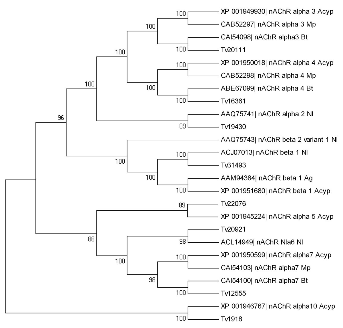 Figure 7