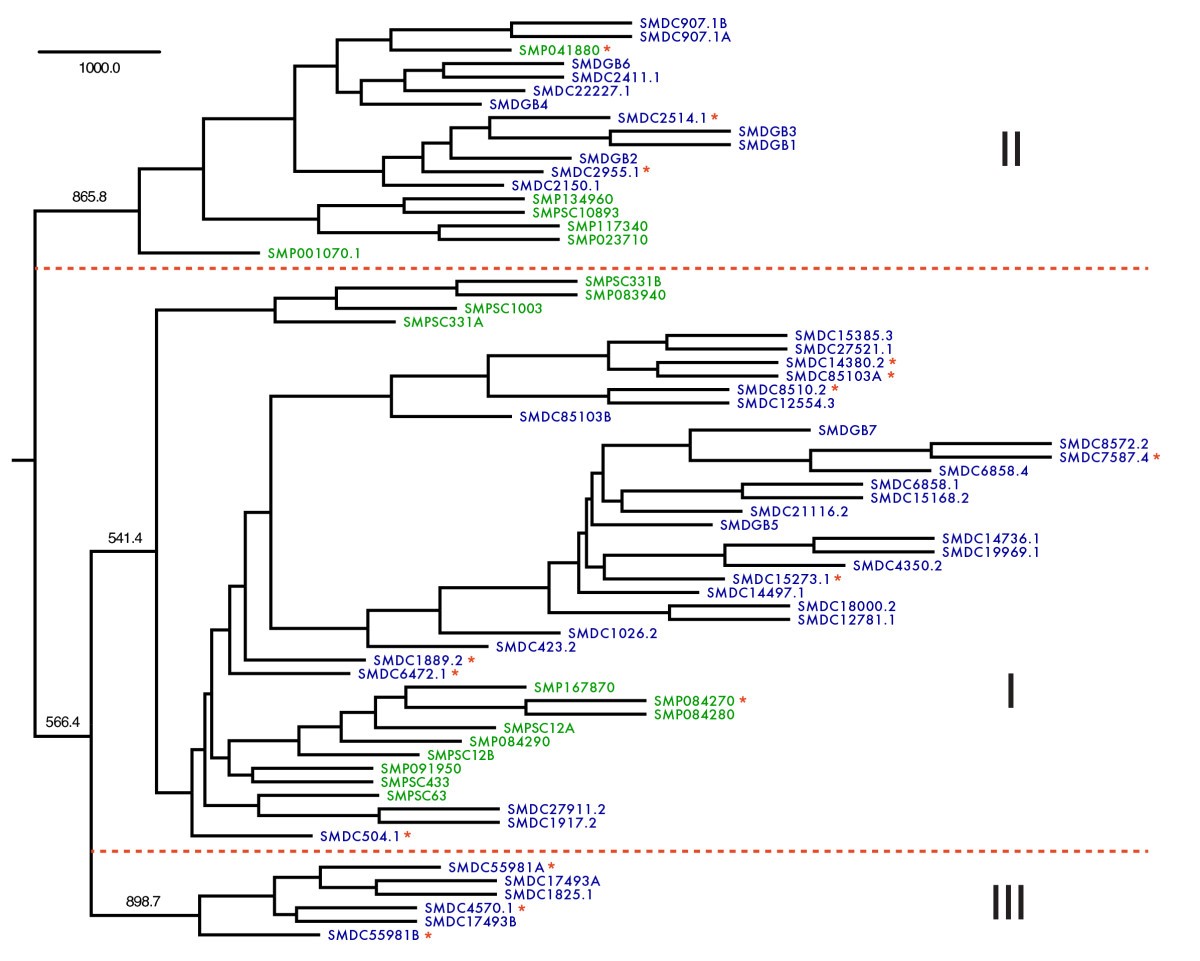 Figure 6