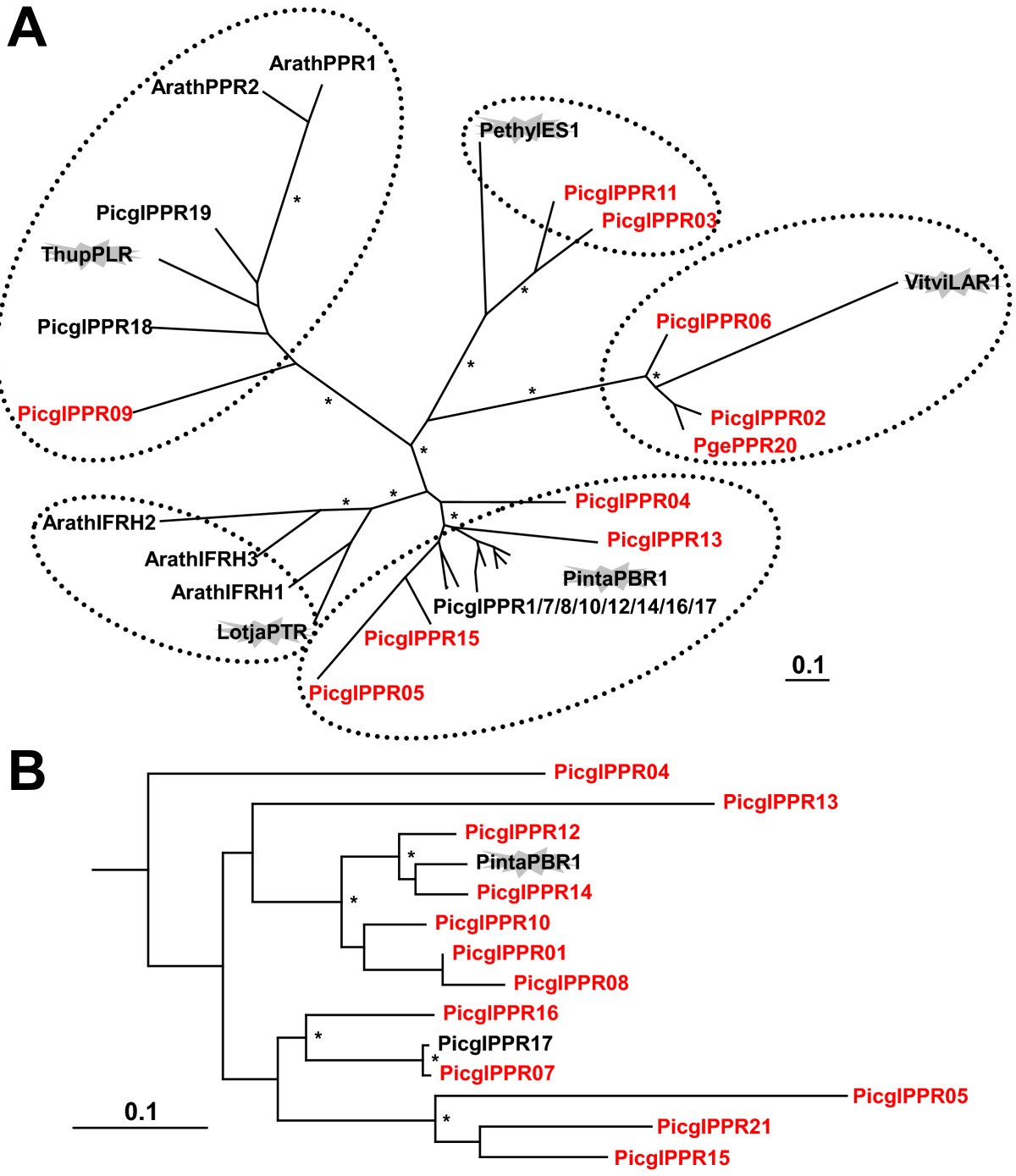 Figure 12