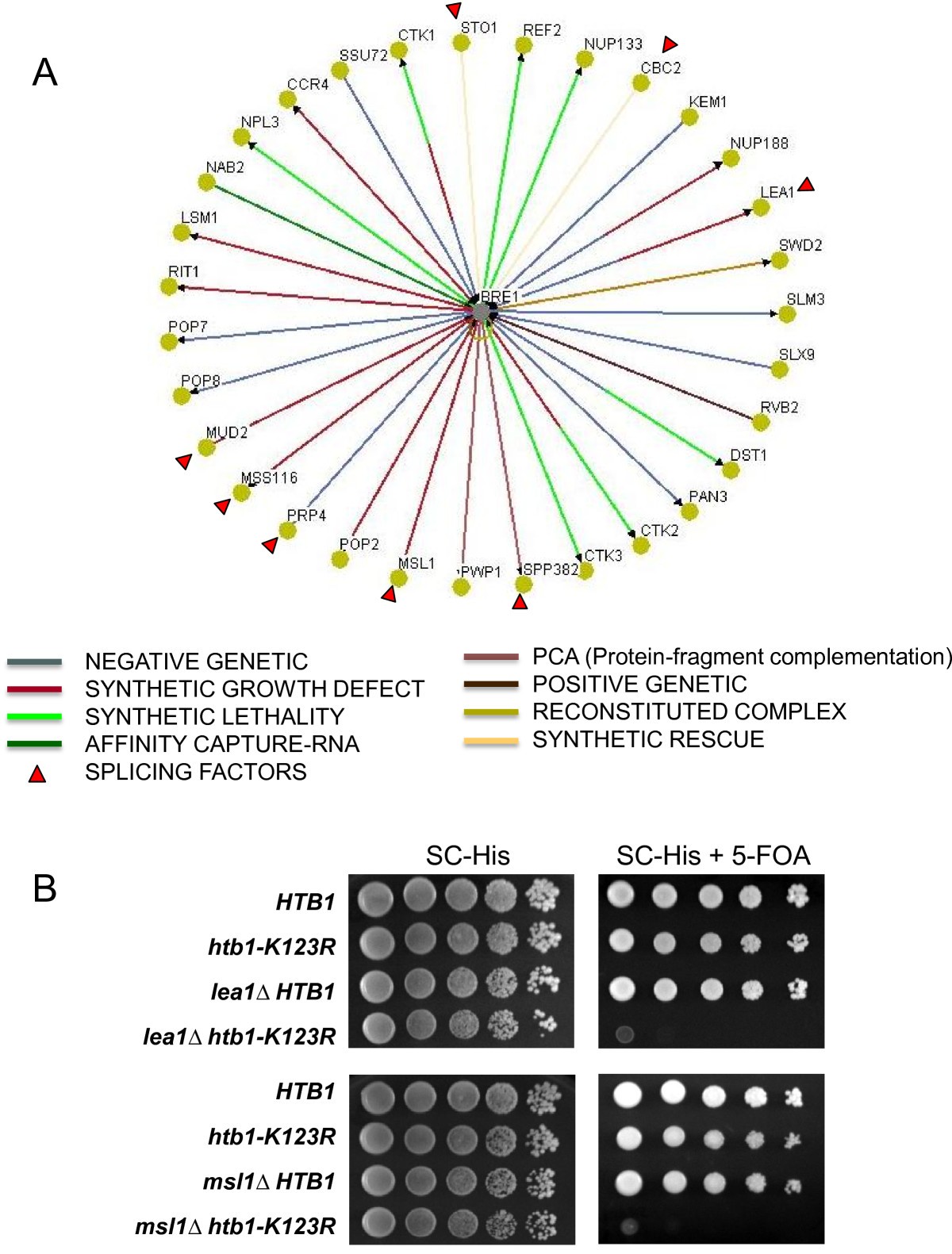 Figure 4