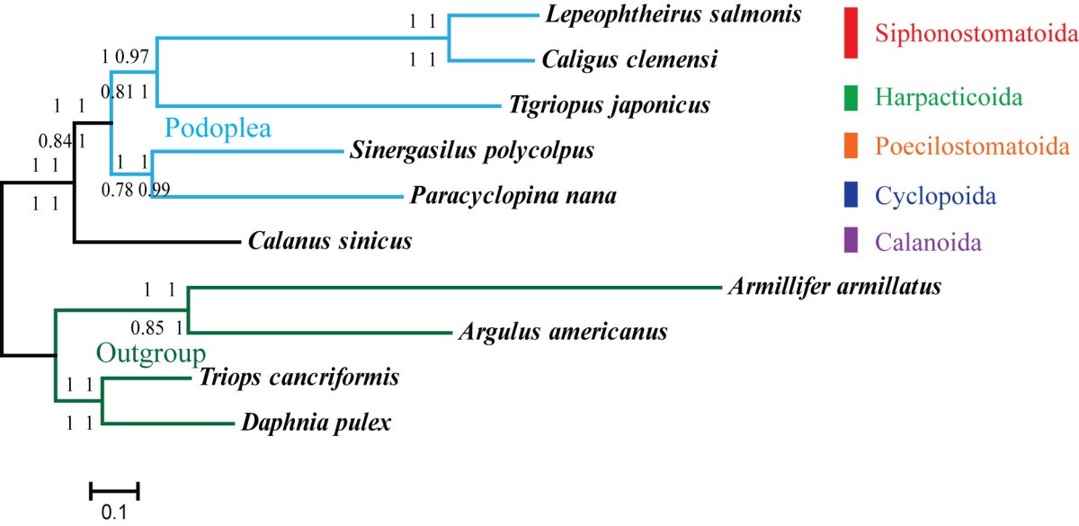 Figure 9