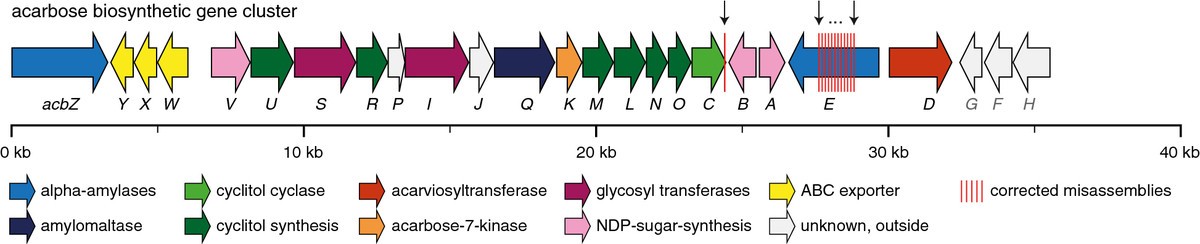 Figure 7