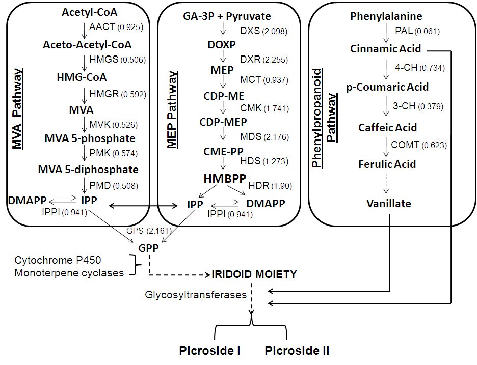 Figure 7