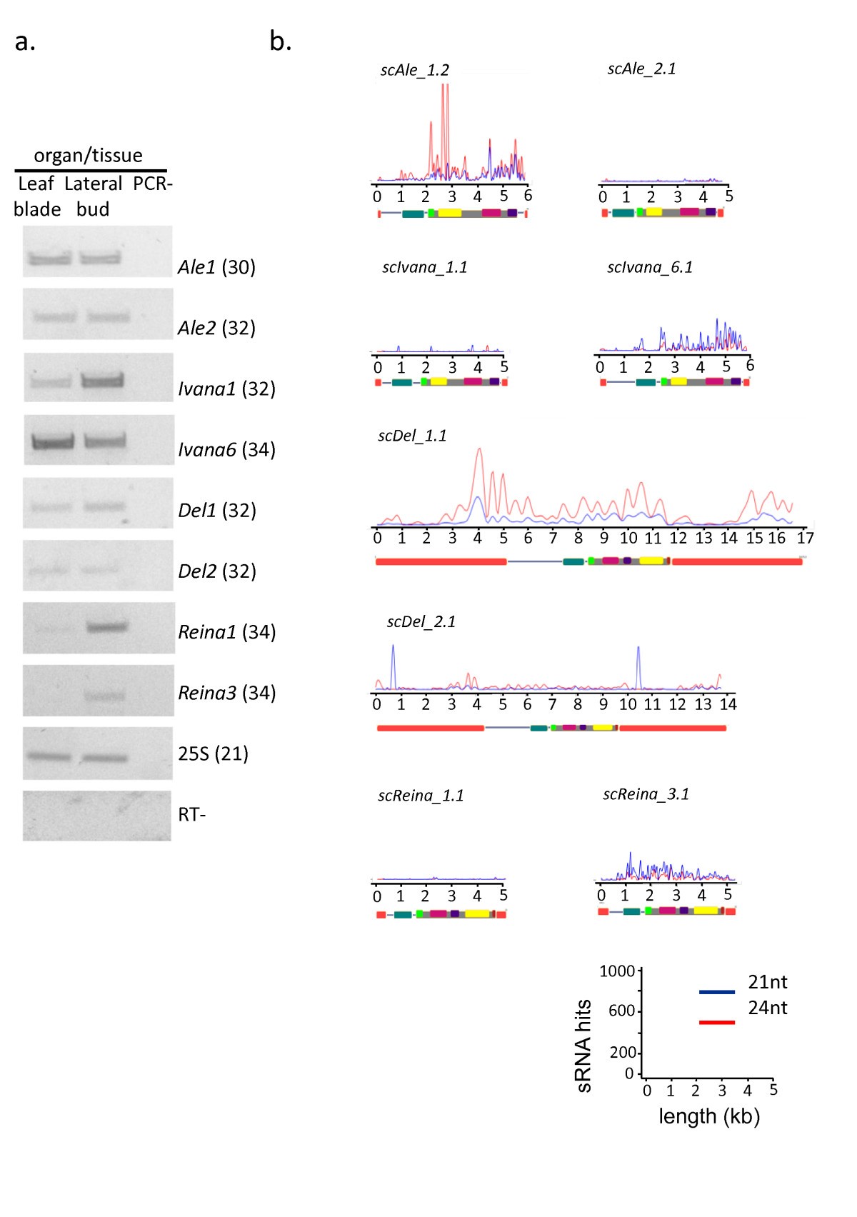 Figure 5