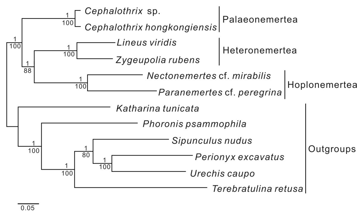 Figure 9