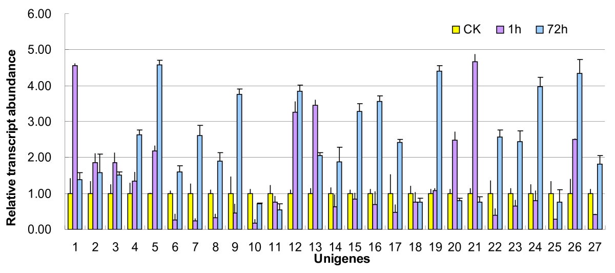 Figure 7