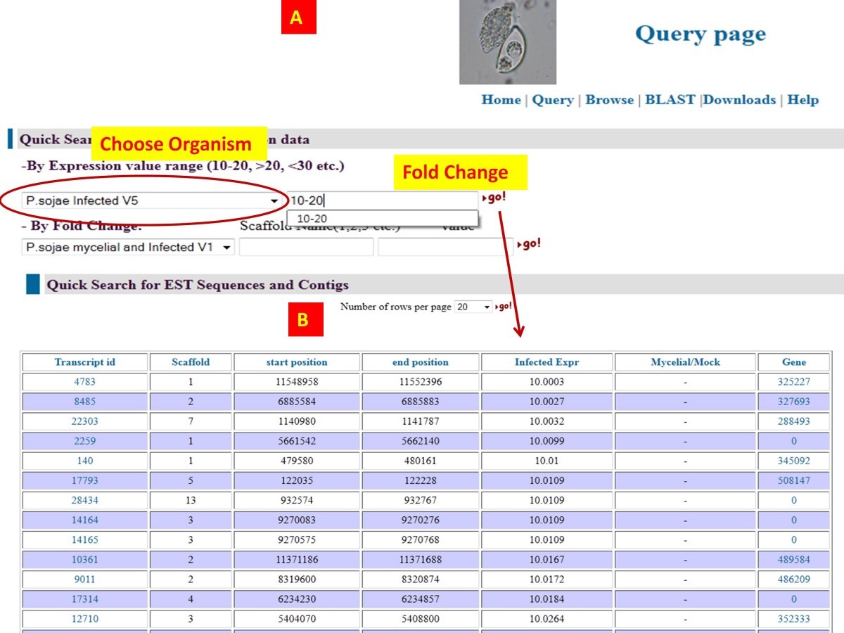 Fe Kill Script Pastebin - roblox lua create part buxgg fake