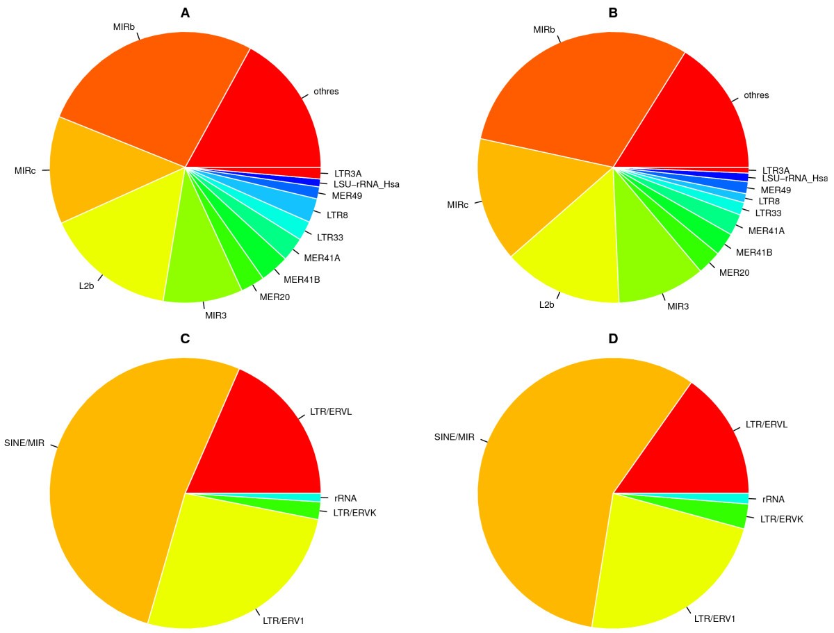 Pie Chart. Fractions in English for pie Chart. Pie Charts 7 Peaces. Fractions pie graph how to. A chart showing