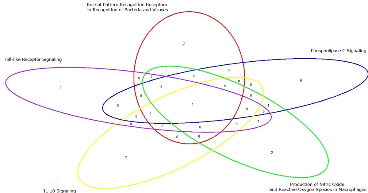 response of the goat mammary gland to infection with bacteria vs virus venn diagram