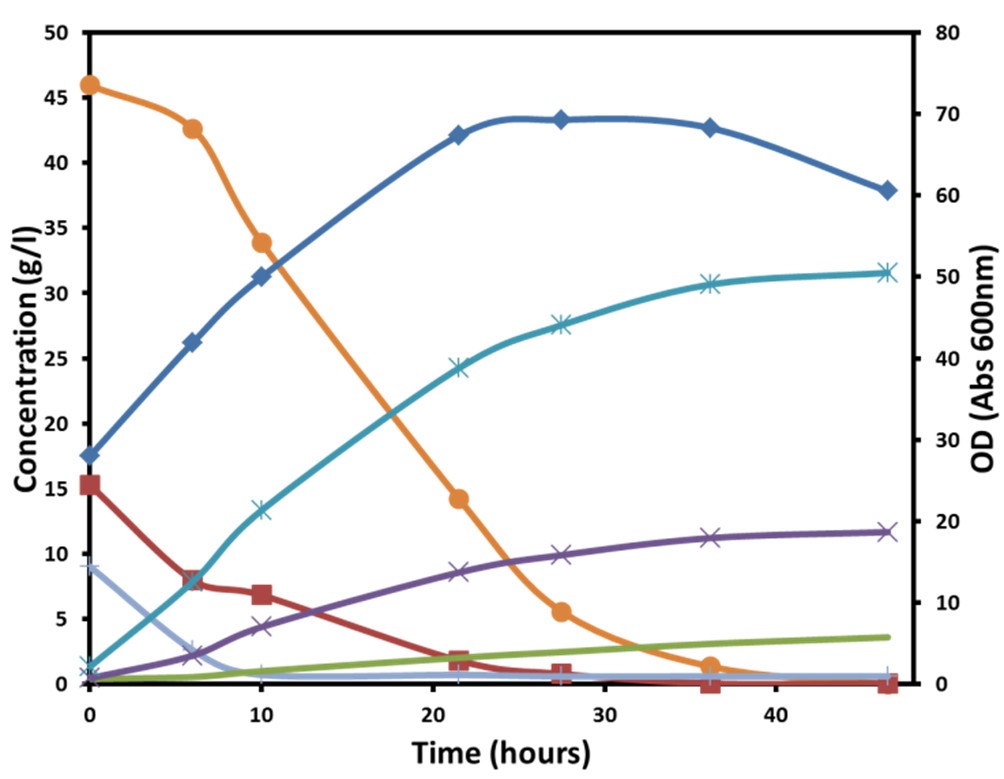 The genome sequence of Propionibacterium acidipropionici provides