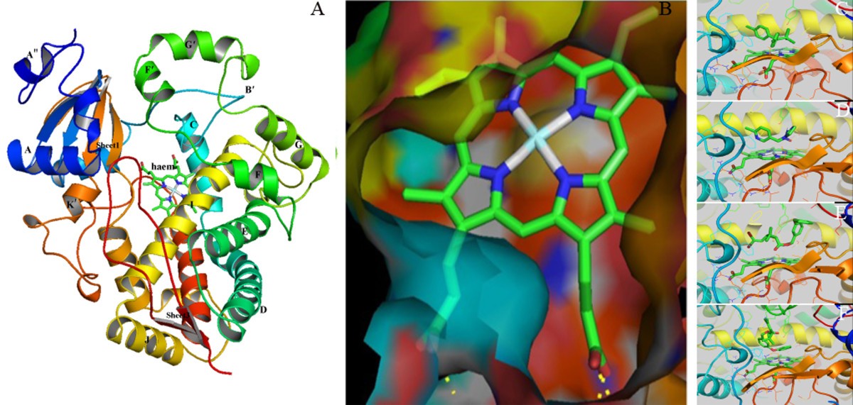 Figure 6