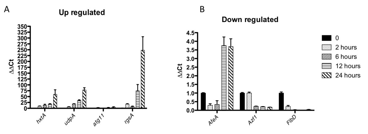 Figure 11