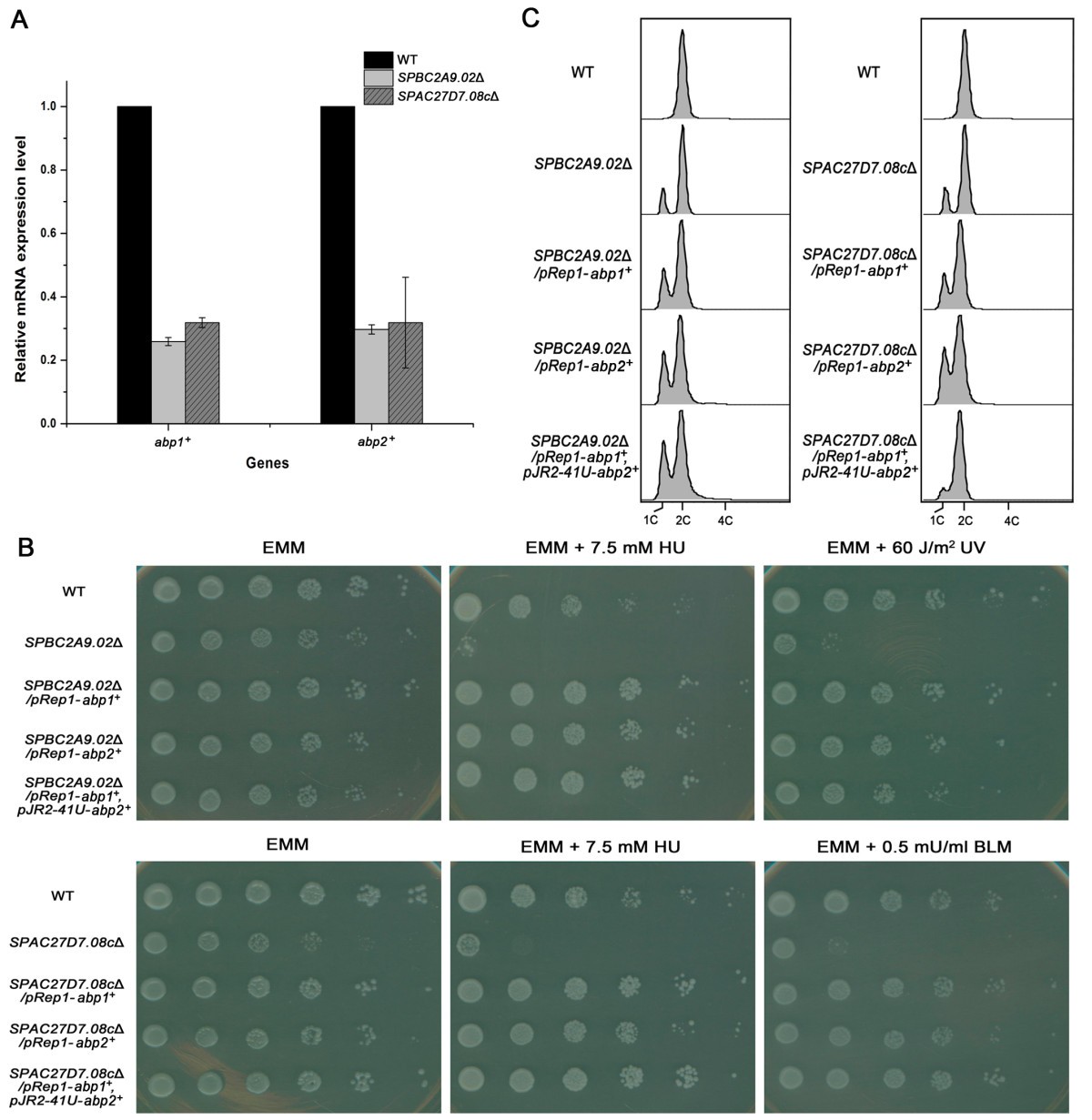 Figure 4