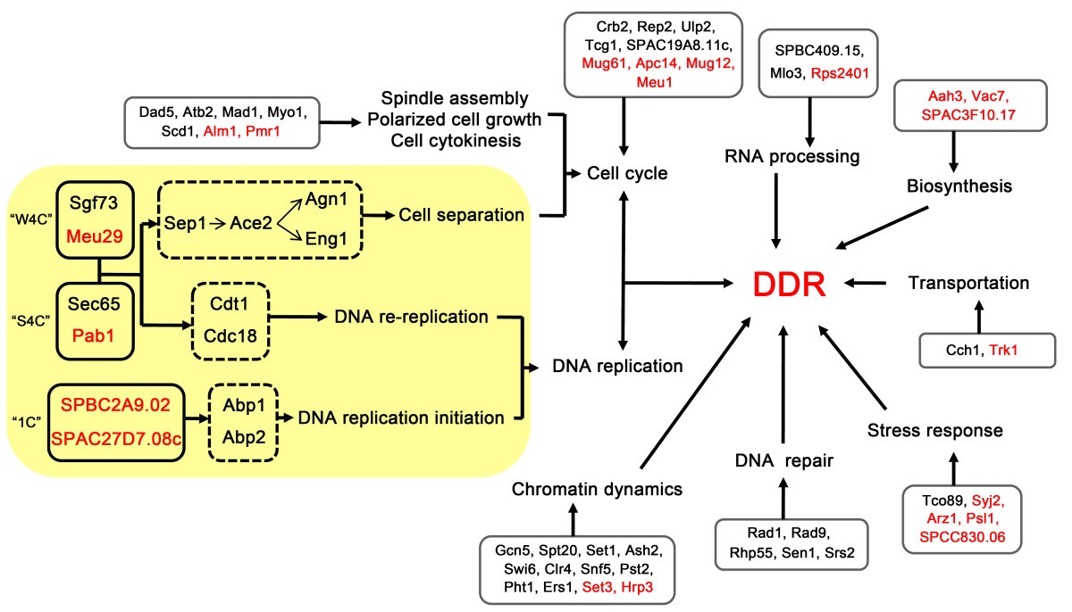 Figure 6