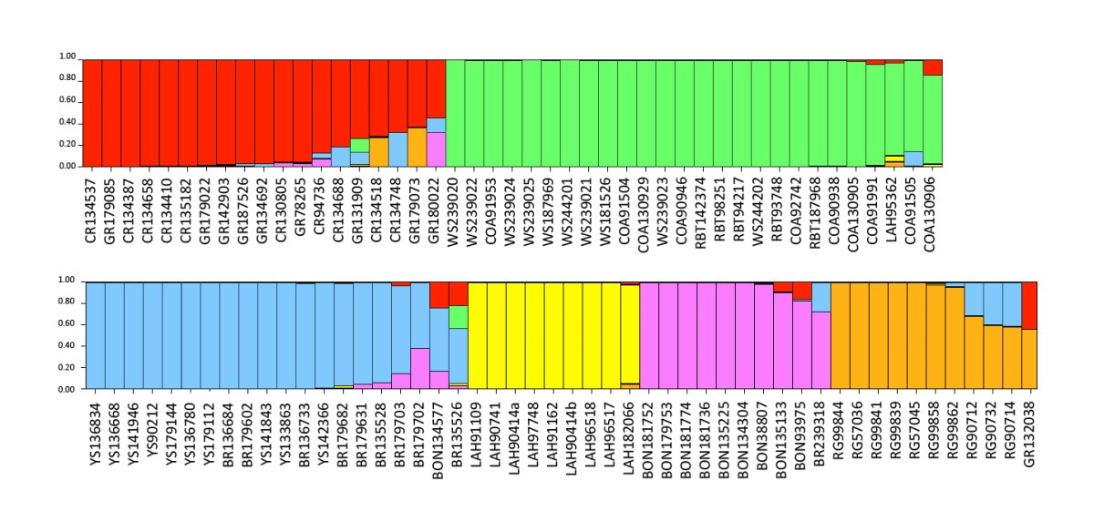 Figure 5